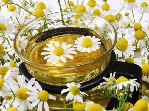 Trà hoa cúc- tác dụng của trà hoa cúc và những lưu ý khi dùng